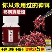 蚯蚓活饵鲜活红虫垂钓鱼饵料鲫鱼鲤鱼野钓黑坑鱼料打窝料鱼食通杀