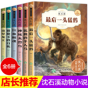 全套6册沈石溪 书全系列儿童阅读课外书经典 正版 沈石溪动物小说全集 书目读物畅销书小学生四五六年级课外阅读书籍