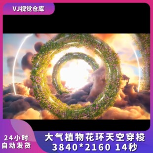 唯美大气植物花环天空穿梭酒吧舞台背景VJ说唱live house视频素材