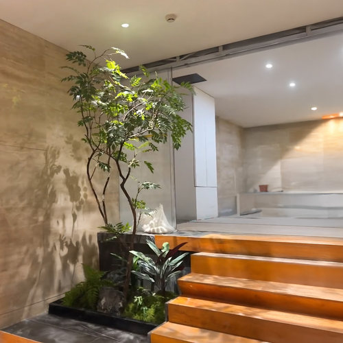 酒店/商场/餐饮绿植景观装饰定制