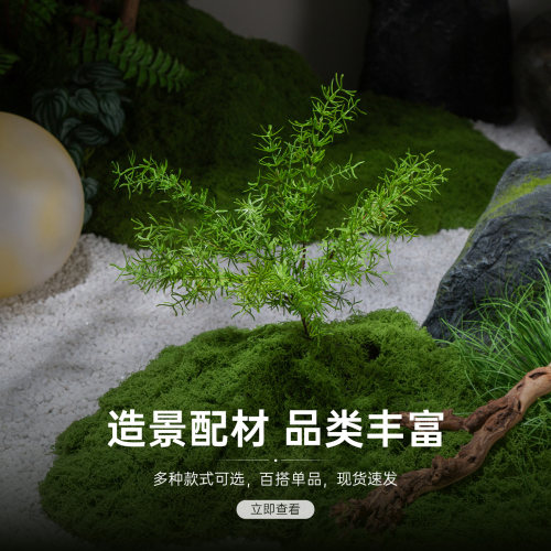 【达人推荐】微景观小型假植物