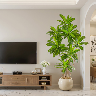 高端落地摆件巴西铁客厅装饰氛围感假树直播间仿生家居大型绿植