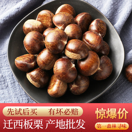 『第一森林』寻味【迁西板栗】板栗生新鲜迁西313栗子皮薄软糯甜