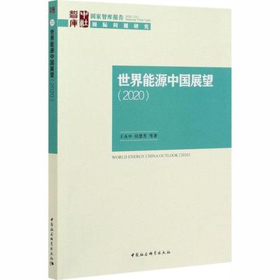 世界能源中国展望(2020)/国家智库报告书王永中能源发展研究报告中国普通大众经济书籍