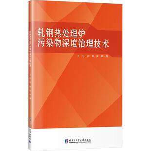 自然科学书籍 王凡 书 轧钢热处理炉污染物深度治理技术