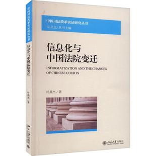 信息化与中国法院变迁叶燕杰法律书籍9787301341414 北京大学出版社