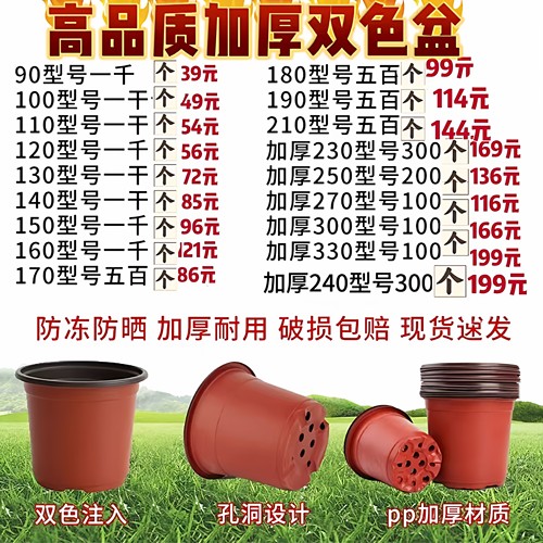 多肉大号一次性塑料加厚育苗盆