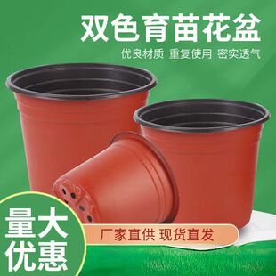 双色盆育苗盆加厚多肉塑料营养钵小号大号一次性营养杯育苗杯