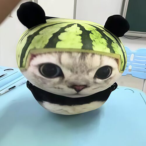 熊喵喵玩偶公仔熊猫小猫