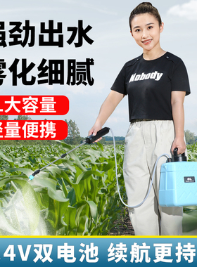 电动喷雾器小型消毒家用浇花水神器农用喷壶高压农药喷洒器打药机