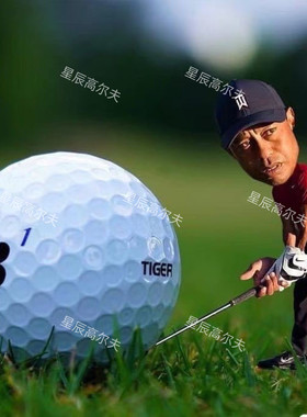 高尔夫球普利司通Bridgestone大B老虎款BXS三四层球大B彩色二手球