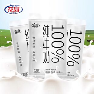 新疆花园小白袋纯牛奶180克*16袋装常温全脂整箱