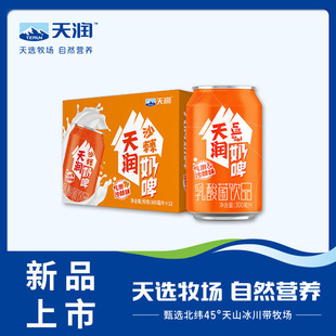 天润新疆沙棘奶啤300Ml/罐乳酸菌饮品含乳饮料易拉罐包装