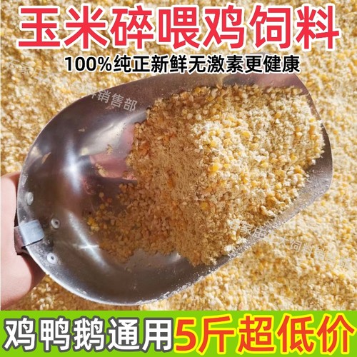 玉米碎粒喂鸡五谷杂粮产蛋鸡饲料