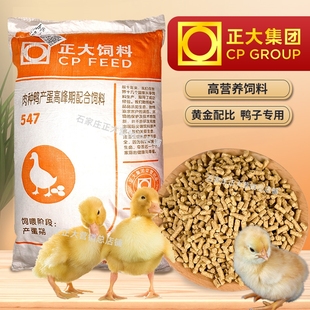 正大小鸭饲料宠物鸭柯尔鸭粮小雏中大鸭鹅饲料产蛋鸭子专用鸭食料
