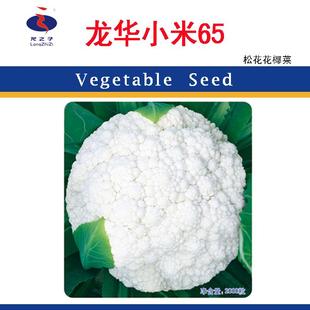 花椰菜种子龙华小米65天好种龙之子蔬菜白花菜种籽