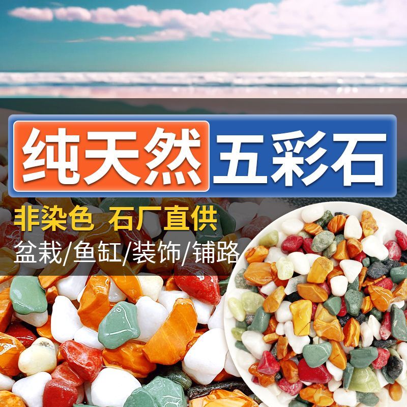 天然雨花石鹅卵石盆栽石造景装饰铺面石鱼缸底砂多肉铺面石水族箱