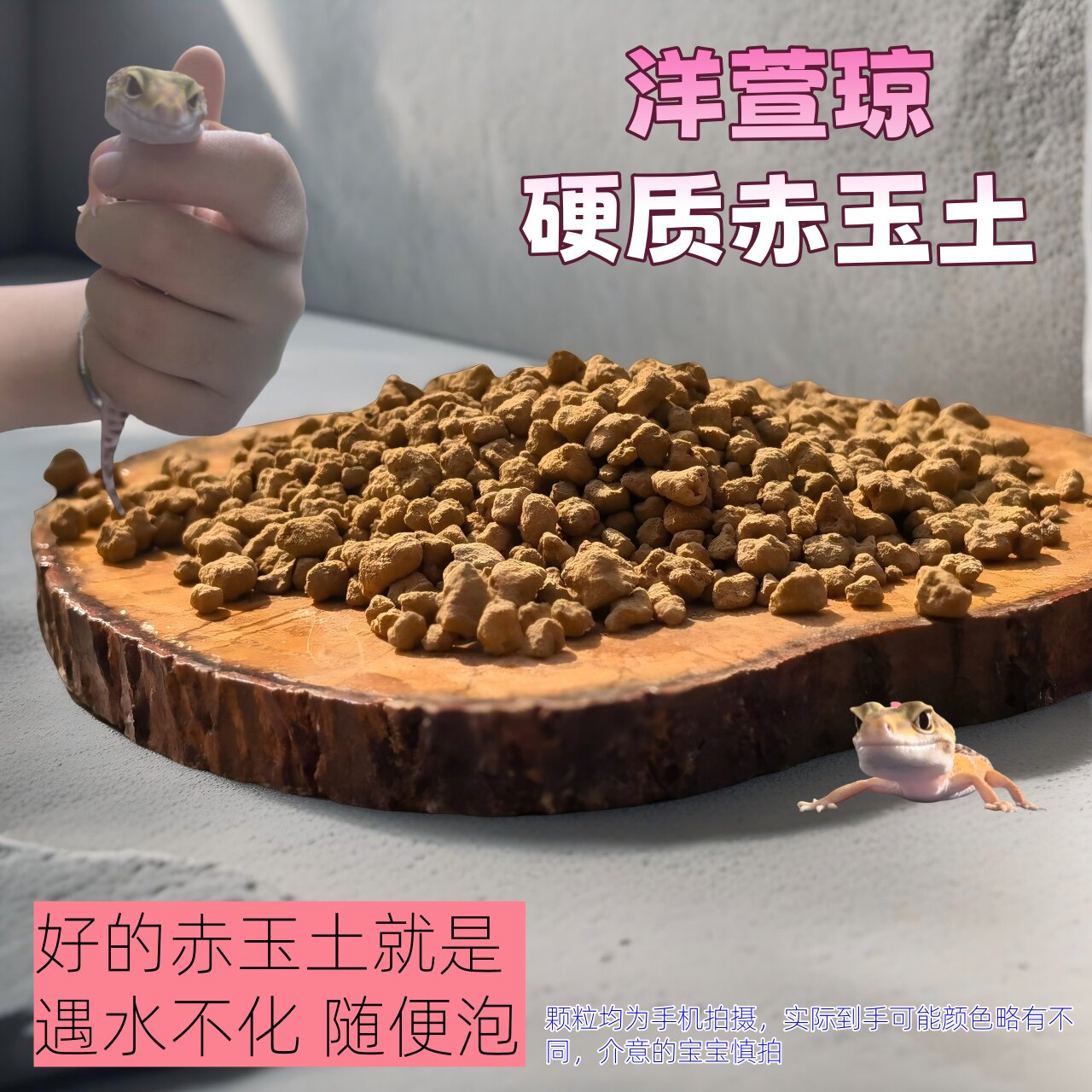 硬质赤玉土颗粒 多肉兰花盆景专用 盆栽种植铺面乌龟爬宠优质垫材