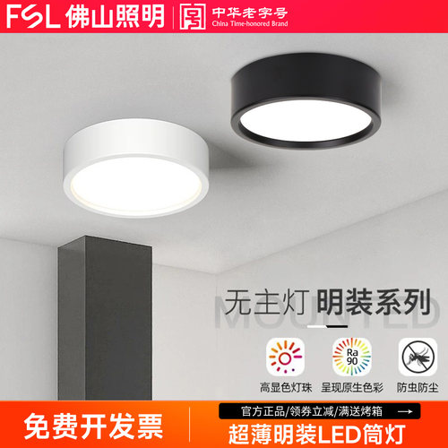 佛山照明明装led筒灯现代简约