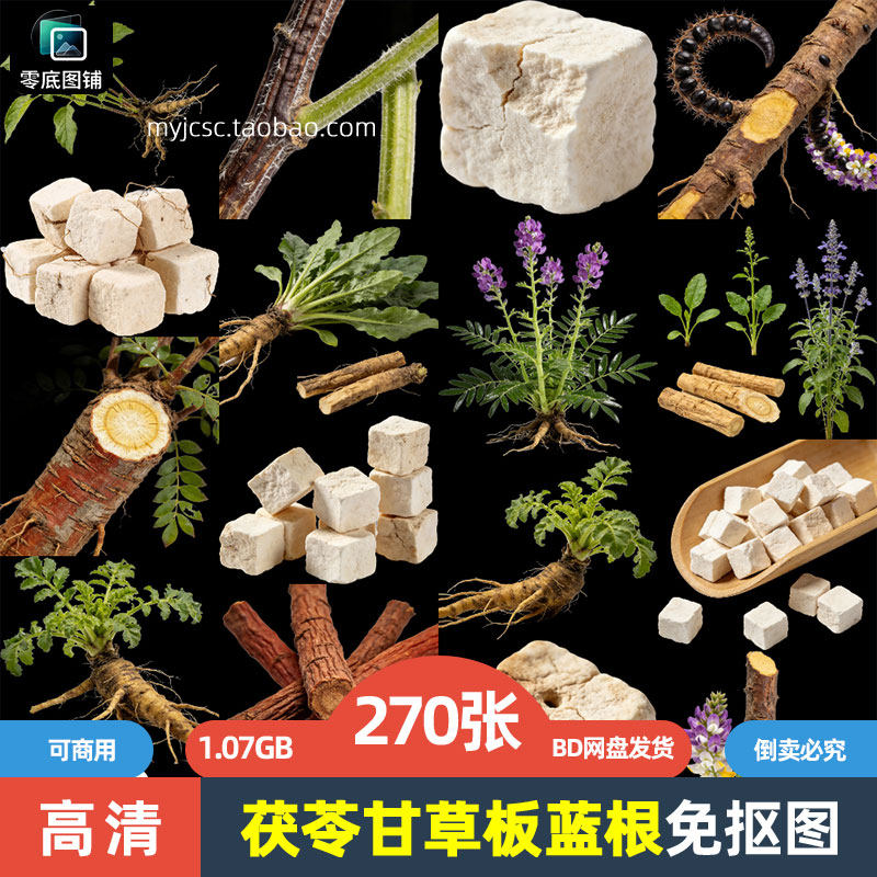高清茯苓甘草板蓝根中药草药材植物免抠图片海报设计商用喷绘素材