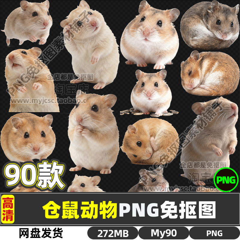 高清可爱仓鼠小动物PNG透明免抠图片海报设计素材可商用打印文件