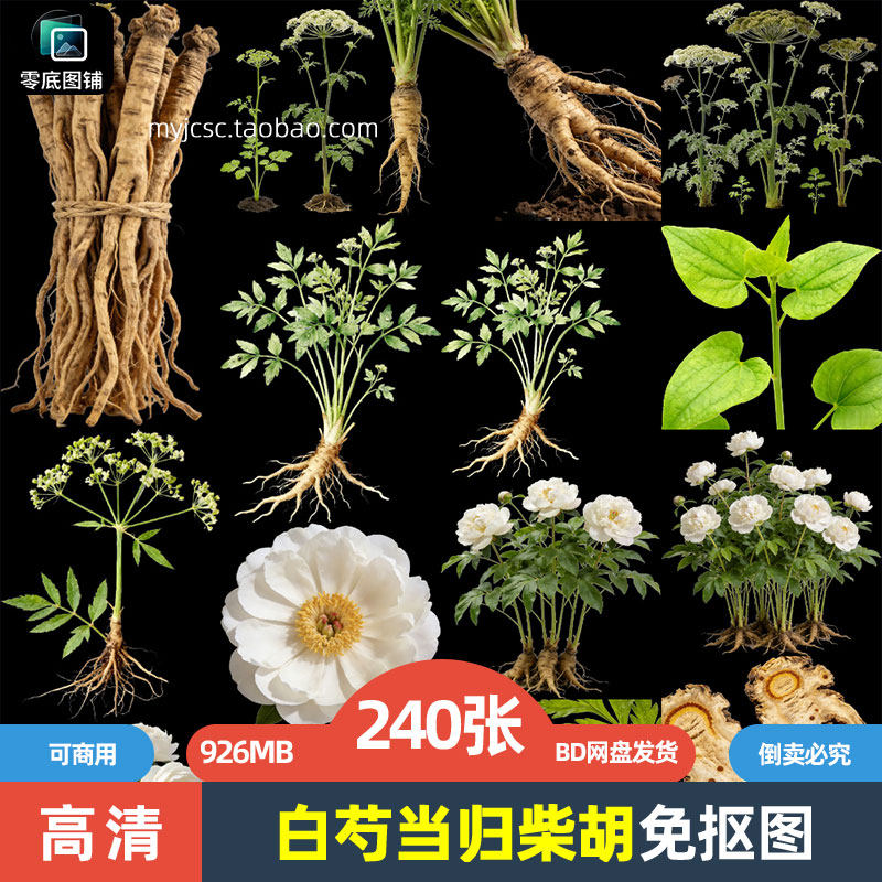 高清白芍当归柴胡药材草药中药植物免抠图片海报设计商用打印素材