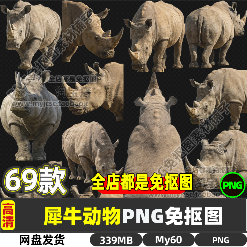 高清犀牛动物生物PNG透明免抠图片海报设计素材可商用打印文件包