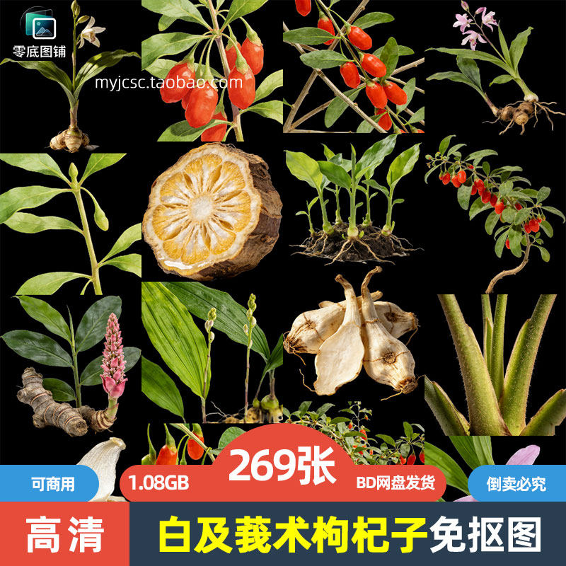 高清白及莪术枸杞子药材中药草药植物免抠图片海报设计可商用素材
