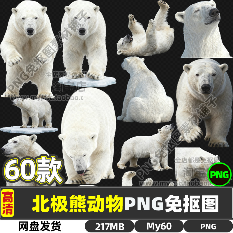 高清北极熊动物生物PNG透明免抠图片海报设计素材可商用打印文件