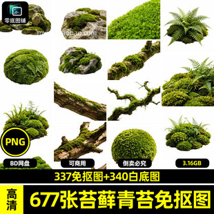 高清苔藓青苔绿藻潮湿植物海报设计素材白底图可商用透明免抠图片