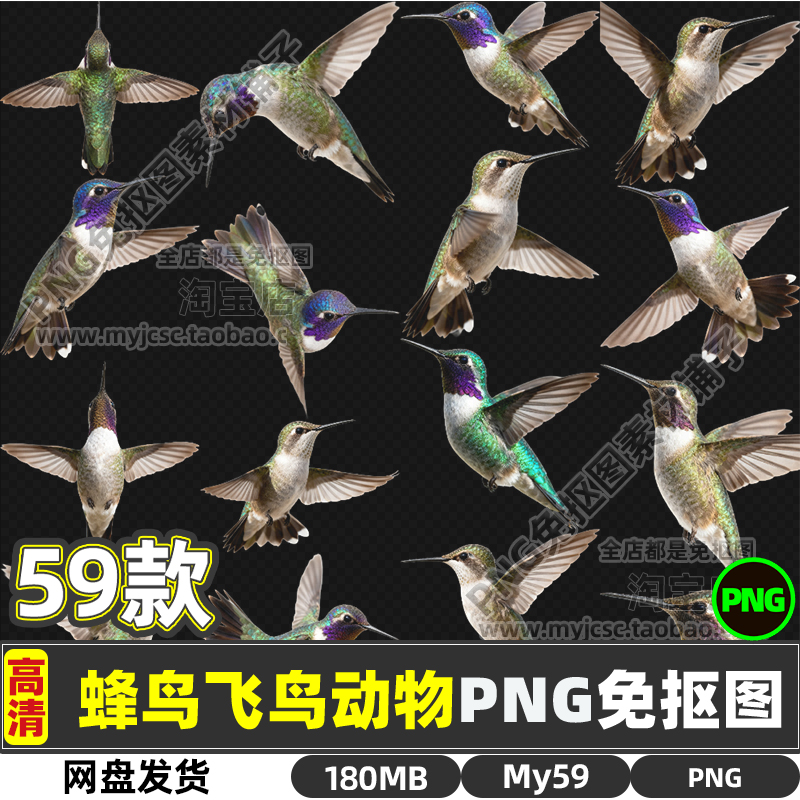 蜂鸟小鸟飞鸟飞禽小动物高清PNG透明免抠图片海报设计可商用素材