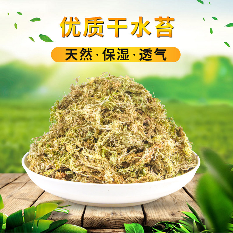 爬宠苔藓水苔垫材干保湿透气生态造景乌龟角蛙冬眠用品爬虫运输