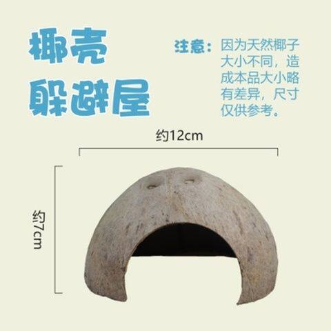 寄居蟹天然椰壳躲避屋攀爬