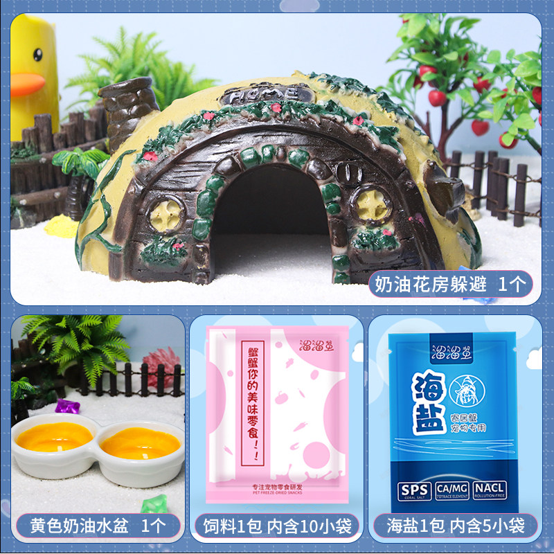 奶油花房躲避森林珊瑚椰