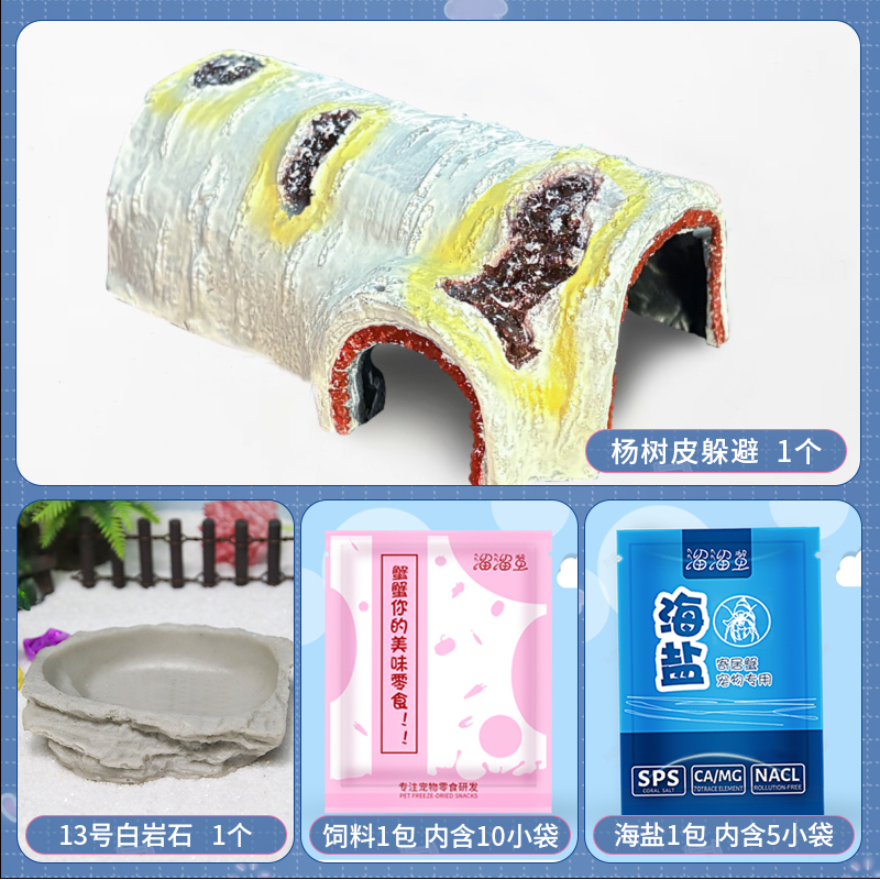 寄居蟹躲避屋森林珊瑚椰壳爬虫树桩洞寄居蟹爬宠躲避屋屋攀爬物