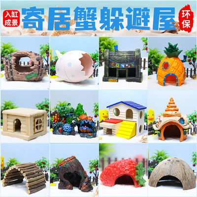 寄居蟹躲避屋森林珊瑚椰壳爬虫