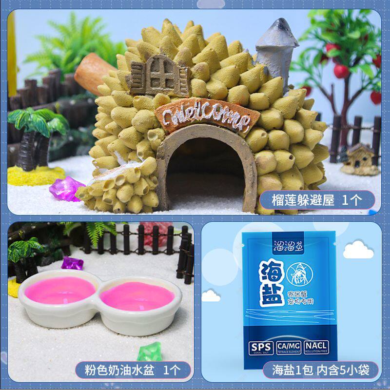 榴莲寄居蟹躲避屋森林珊瑚