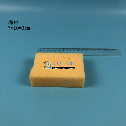 海绵形状小学科学3cm实验器材