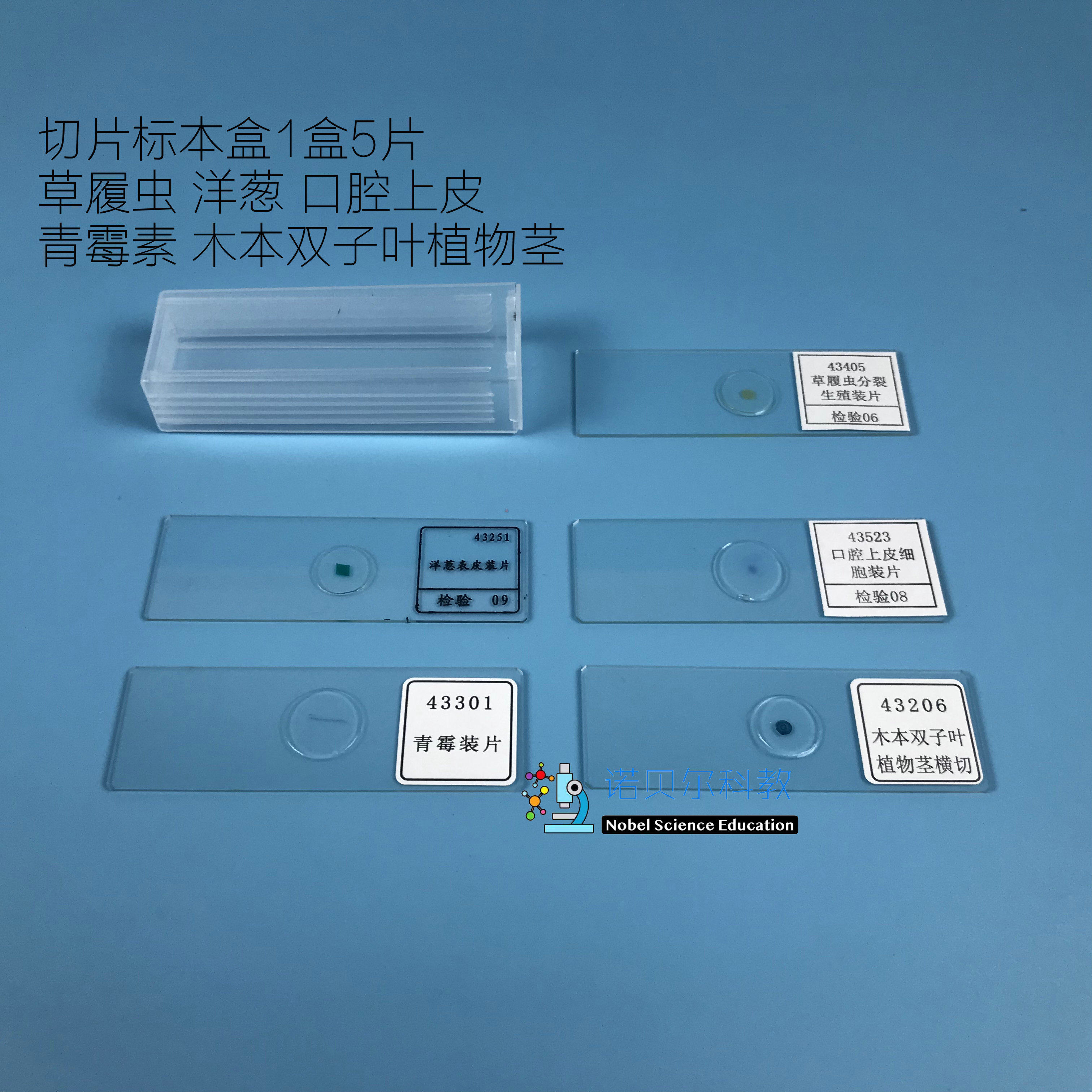 切片标本*口腔*洋葱*青霉素*草履虫*植物茎*(1盒5片)切片标本