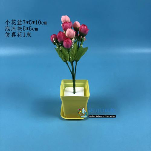 小花盆植物科学实验