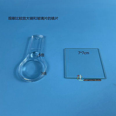 放大镜3倍5倍玻璃片7*7cm诺贝尔科教实验材料