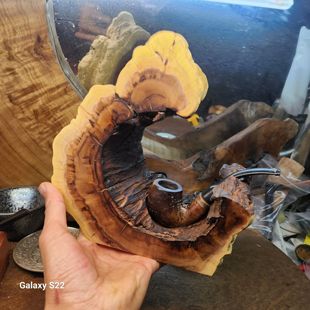 手工高档随形玉化雷击枣木单位烟斗架实木直弯烟斗展示支架烟斗座