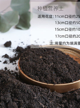 家用绿植包邮花土营养土