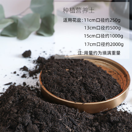 花土营养土种植土通用型多肉土家用绿萝专用土花泥绿植土壤包邮