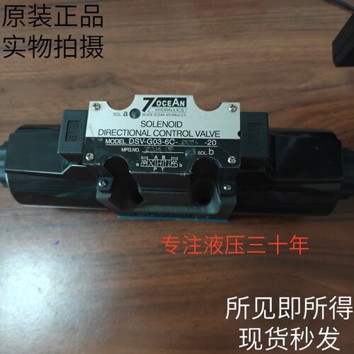 台湾七洋电磁阀DSV-G03-6C-DC24/A110/A120-20 2N C A B  0C原装