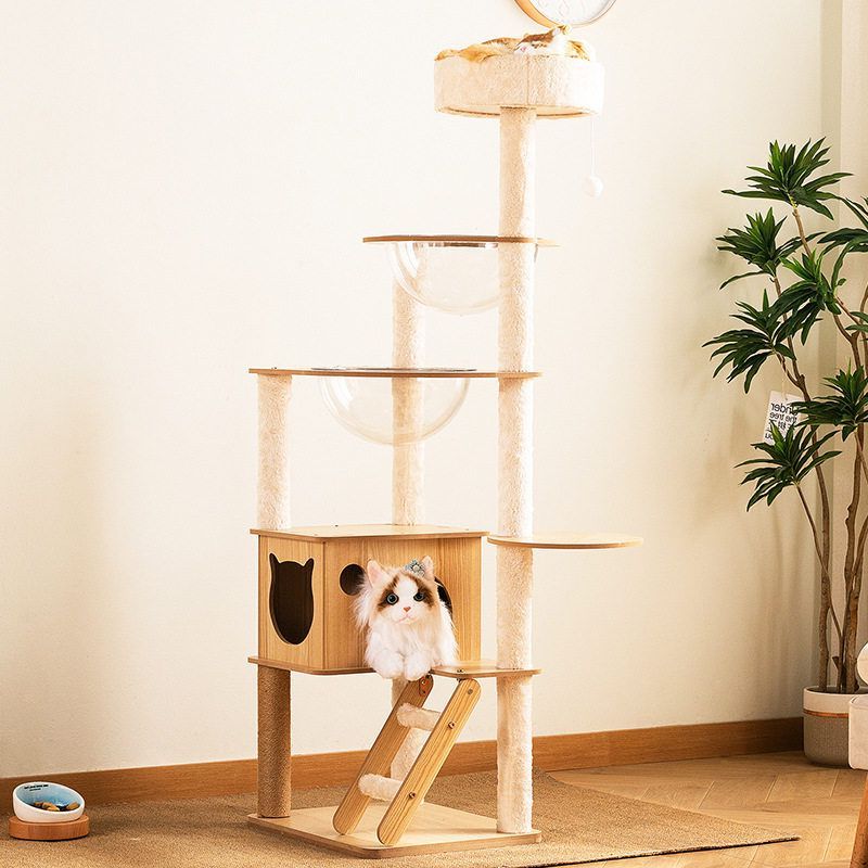 窝猫爬架一件猫占地猫多层一体