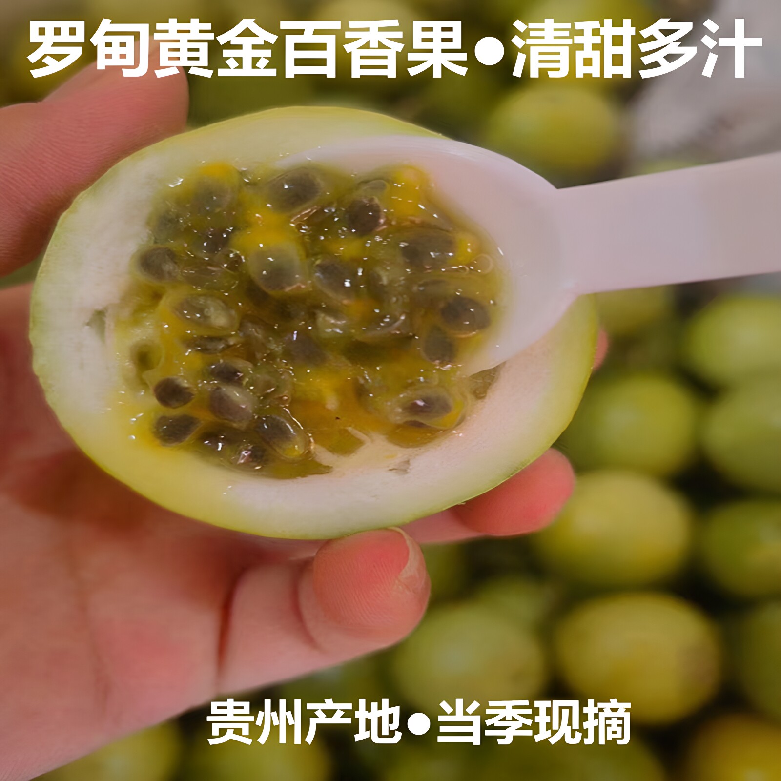 罗甸黄金百香果新鲜水果现摘现发