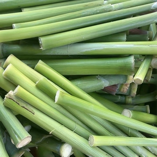 春甜芦粟甜杆新鲜甜芦粟甜高粱杆非甘蔗芦稷现砍带壳
