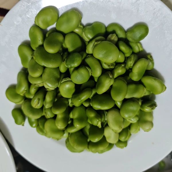 新鲜蚕豆现摘蔬菜带壳胡豆青豆荚新鲜豆类