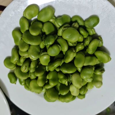 新鲜蚕豆现摘蔬菜带壳胡豆青豆荚罗汉豆兰花豆豌豆荷兰豆